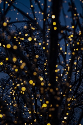 Experience the Vibrant Nightlife of Colombo